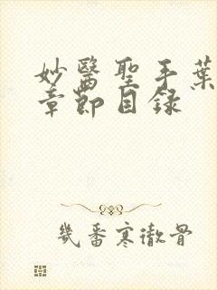 妙医圣手叶皓轩章节目录