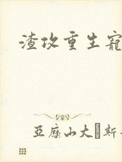 渣攻重生宠受文