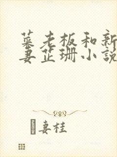 菜老板和新婚娇妻芷珊小说