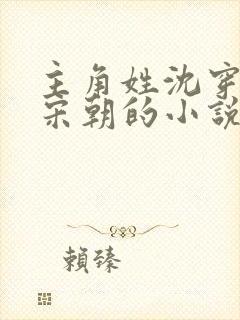 主角姓沈穿越到宋朝的小说封面