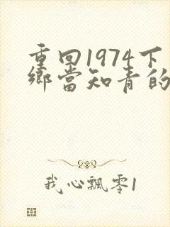 重回1974下乡当知青的小说