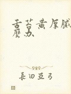 舌苔黄厚腻 怎么办