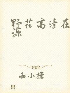 野花高清在线资源