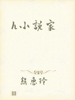 h小说家