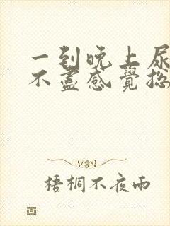 一到晚上尿频尿不尽感觉总有尿意