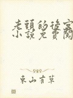 老头的后宫陆雪小说免费阅读全文封面