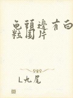 龟头边有白色肉粒图片封面