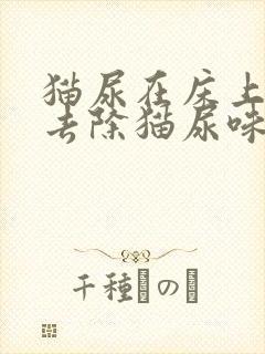 猫尿在床上怎么去除猫尿味