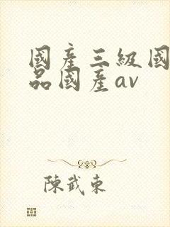 国产三级国产精品国产av