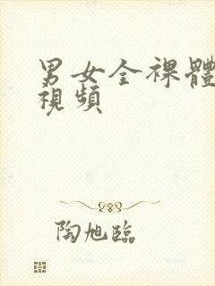 男女全裸体啪啪视频