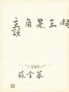 主角是王超的小说
