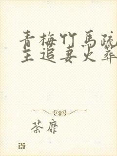 青梅竹马疏离男主追妻火葬场封面