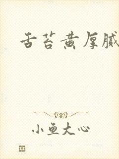 舌苔黄厚腻水滑