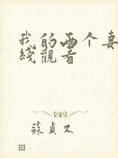 我的两个妻子在线观看