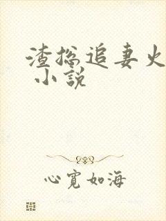 渣总追妻火葬场 小说