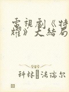 电视剧《特战荣耀》大结局封面