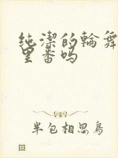 纯洁的轮舞曲是里番吗封面