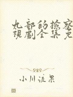 九部的检察官电视剧全集免费播放封面
