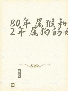 80年属猴和82年属狗的婚姻怎样封面