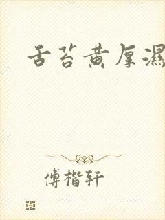 舌苔黄厚湿气重封面