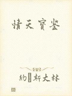 情天宝鉴