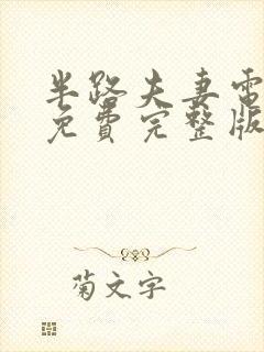 半路夫妻电视剧免费完整版观看高清封面