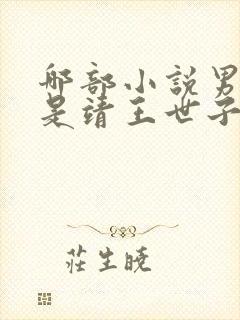 哪部小说男主角是靖王世子