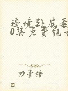 边境卧底毒枭40集免费观看女毒枭