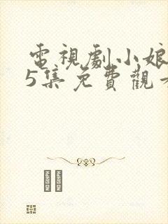 电视剧小娘惹45集免费观看