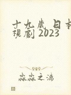十九岁 日本电视剧 2023封面