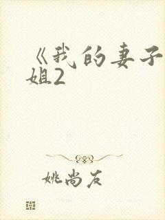 《我的妻子的姐姐2封面