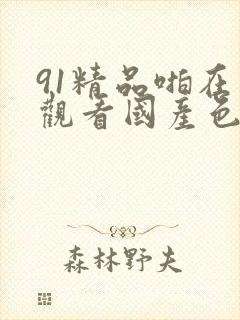 91精品啪在线观看国产色