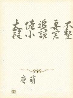 大佬追妻不择手段小说完整版本