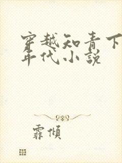 穿越知青下乡的年代小说