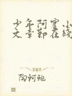 少年阿宾小说全文章节在线观看免费