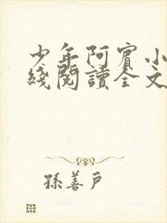 少年阿宾小说在线阅读全文免费