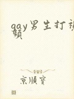 gay男生打视频