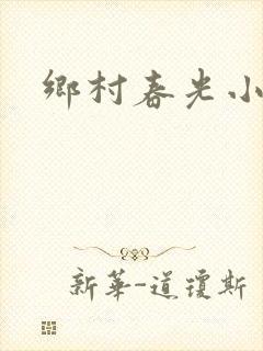 乡村春光小说