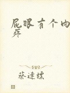 屁眼有个肉球很疼