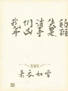 我们消失的那一年凶手是谁封面