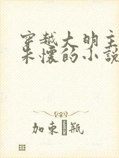 穿越大明主角叫朱怀的小说