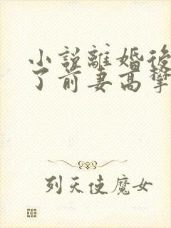 小说离婚后我成了前妻高攀不起的神