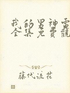 我的男神电视剧全集免费观看