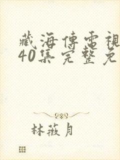 藏海传电视剧第40集完整免费观看