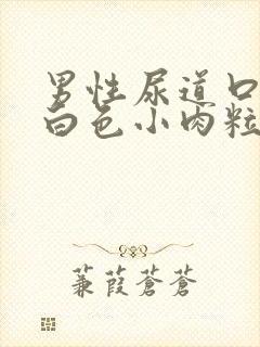 男性尿道口边有白色小肉粒