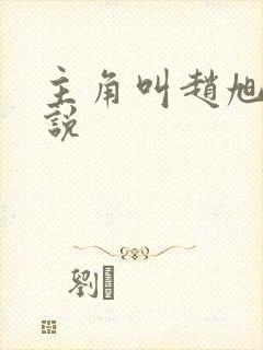 主角叫赵旭的小说