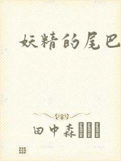 妖精的尾巴h封面