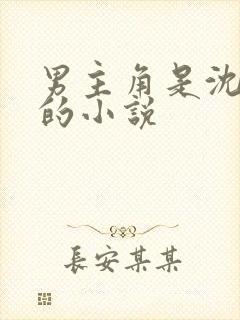 男主角是沈星河的小说