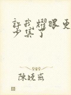 许我耀眼更新多少集了