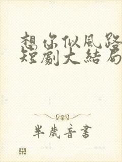 想你似风路过我短剧大结局